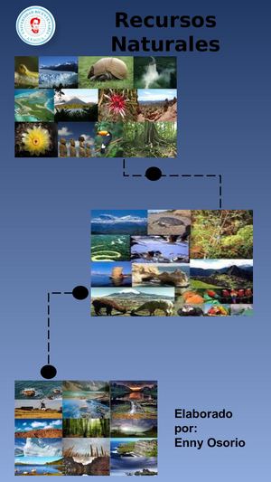Recursos Naturales y Contaminación