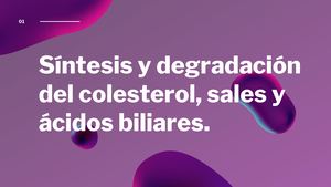 Síntesis y degradación del colesterol, sales y ácidos biliares.