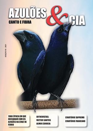 Revista Digital Azulões & Cia - 3ª Edição