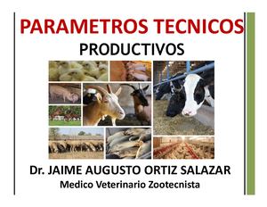 Parámetros Técnicos Productivos