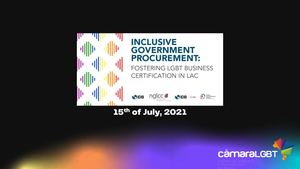 Ricardo Gomes, President, Câmara de Comercio E Turismo LGBT Do Brasil and National Coordinator of Tourism, Alianza Nacional LGBT