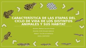 Los ciclos de vida de los animales