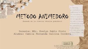 Metodo Animodoro