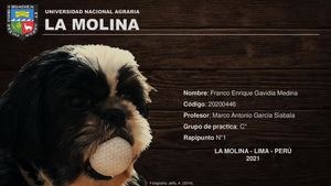 Rapipunto_1_Gavidia Medina_Grupo C*