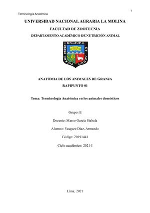 Rapipunto 1 - Vasquez Diaz - Grupo E