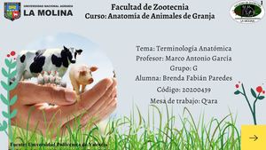 RAPIPUNTO_1_ BRENDA FABIÁN PAREDES_GRUPO_G