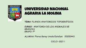 Rapipunto 1 Flores Garay Grupo De Prácticas Pptx