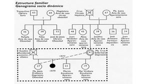 Genograma Ejemplos