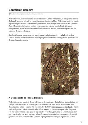 Benefícios Erva Baleeira Medicina Alternativa