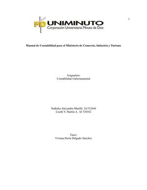 Manual De Contabilidad Gubernamental