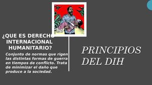 Principios Del Dih