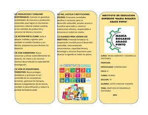 Triptico Objetivos De Desarrollo Sostenible Leiter Chinchay Huaman