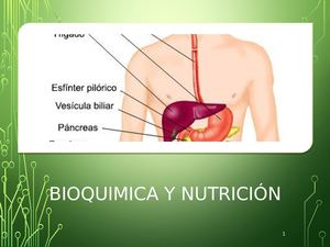 Carbohidratos Grado 11 Clase Del 26 De Julio