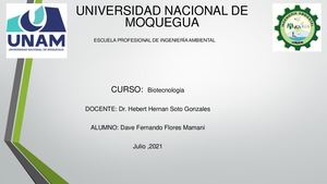 Biotecnologia Mapa Conceptual Fernando Flores Mamani