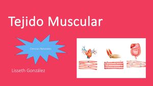 Tejido Muscular