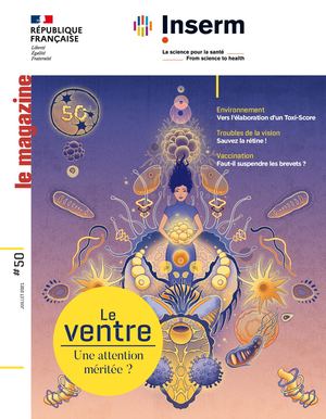 Magazine de l'Inserm n°50 - Le ventre : une attention méritée ?