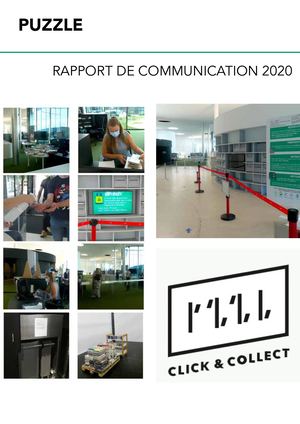 Rapport De Communication 2020