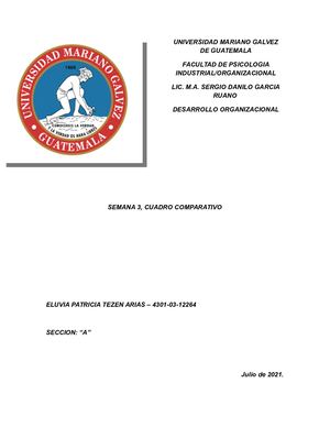 Tarea 3 Desarrollo Organizacional Cuadro Comparativo