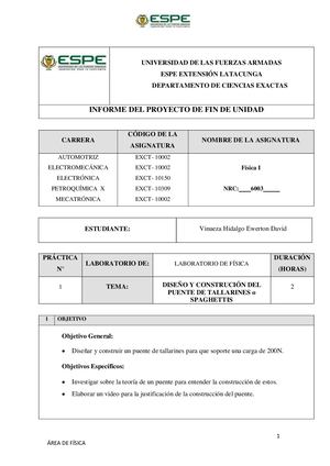 VINUEZA DAVID Construccion De Un Puente De Fideos