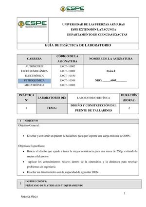 Proyecto Puente De Tallarines