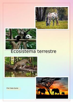 Qué Es Un Ecosistema Terrestre