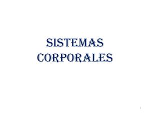 Sistemas Corporales