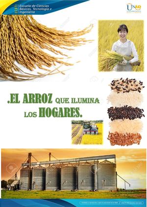 Tarea 6 Final Yulith Londoño