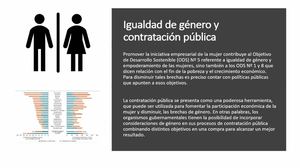 Empresas Lideradas Por Mulheres - Trinidad Inostroza, Ex Presidente, RICG