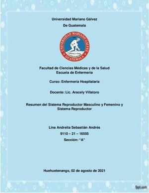 Resumen del Sistema Reproductor Masculino y Femenino y Sistema Respiratorio