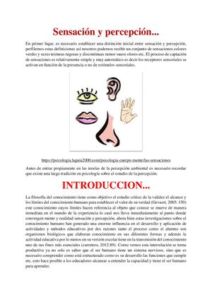 Documento19