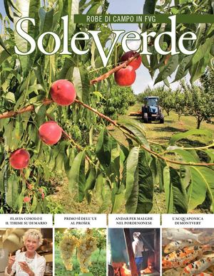 Soleverde Luglio Agosto 2021