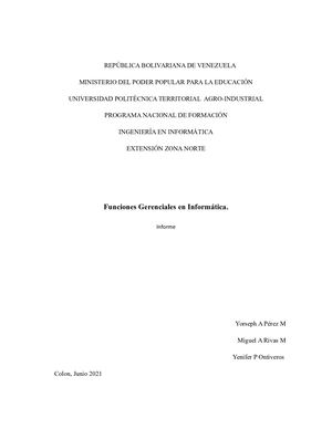 Funciones Gerenciales En Informatica