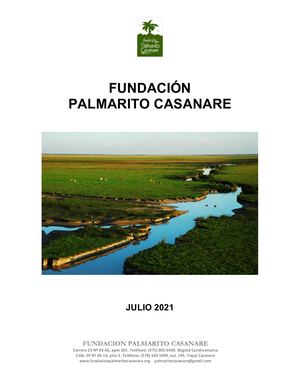 Informe Palmarito A Rspo