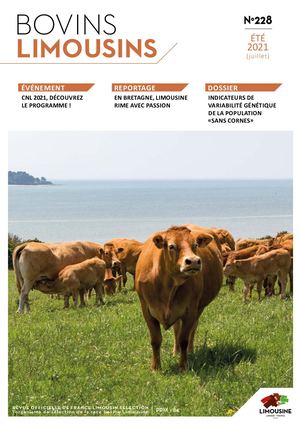 Bovins Limousins 228 / Extrait
