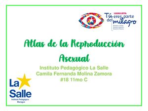 Atlas De La Reproducción Asexual