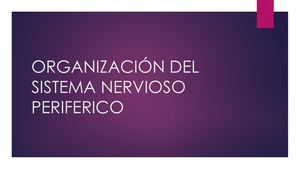 2 Organización Del Sistema Nervioso Periferico