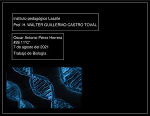 Oscar Antonio Perez Herrera - #26 - Trabajo de Biología