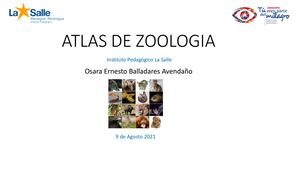 Atlas De Zoologia