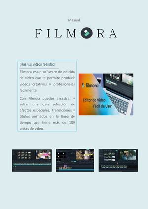 Manual Filmora