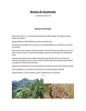 Biomas De Guatemala