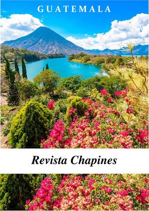 Revista Biomas De Guatemala Ana Lucía Aldana Revista