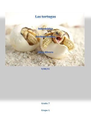 Las Tortugas