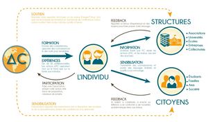 Schéma De L'organisation D'AC - Blanc