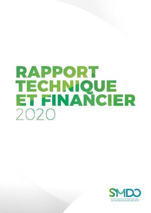 rapport financier 2020