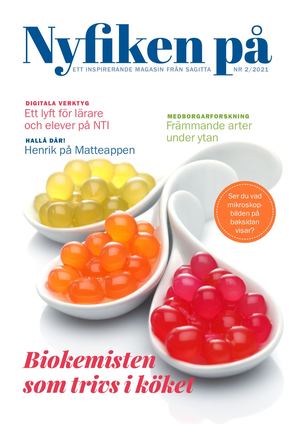 Nyfiken på nr 2 2021