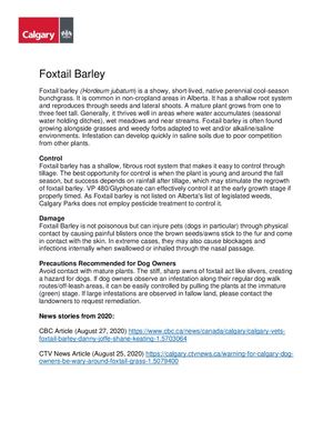 Foxtail Barley Fact Sheet