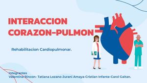 Interacción corazón-pulmón.