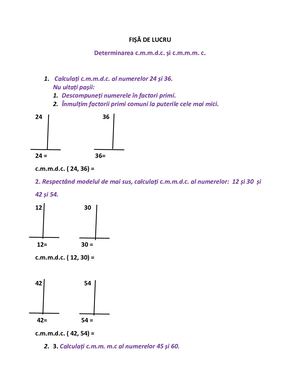 Fisă De Lucru Calcularea Cmmdc șI Cmmmc