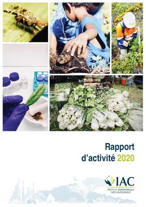 Rapport d'activités de l'IAC 2020
