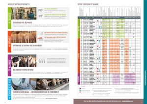 Croisement Viande - Aout 2021 - Zone B